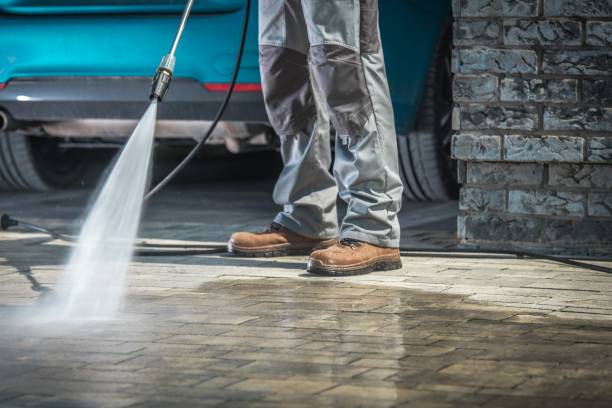 Best Patio and Deck Pressure Washing  in Watertown, FL