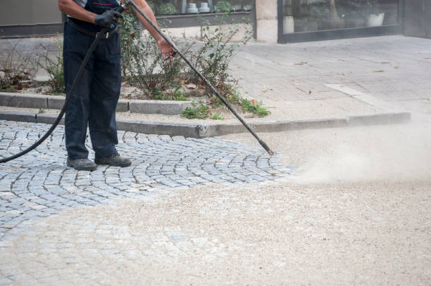 Best Fence Cleaning  in Watertown, FL